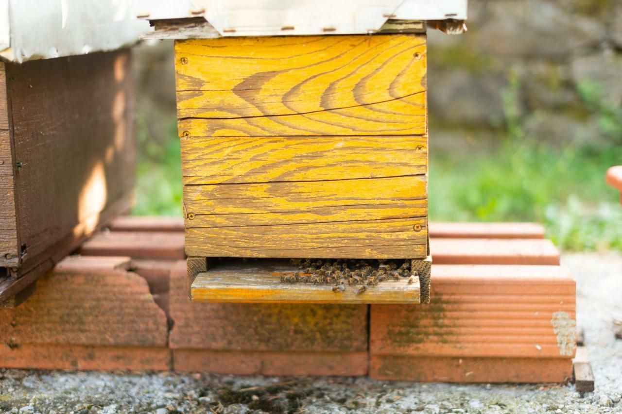 Honey Farm House Virpazar Εξωτερικό φωτογραφία