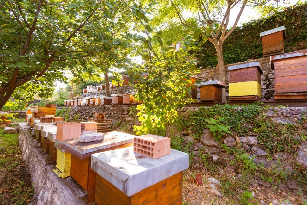Honey Farm House Virpazar Εξωτερικό φωτογραφία