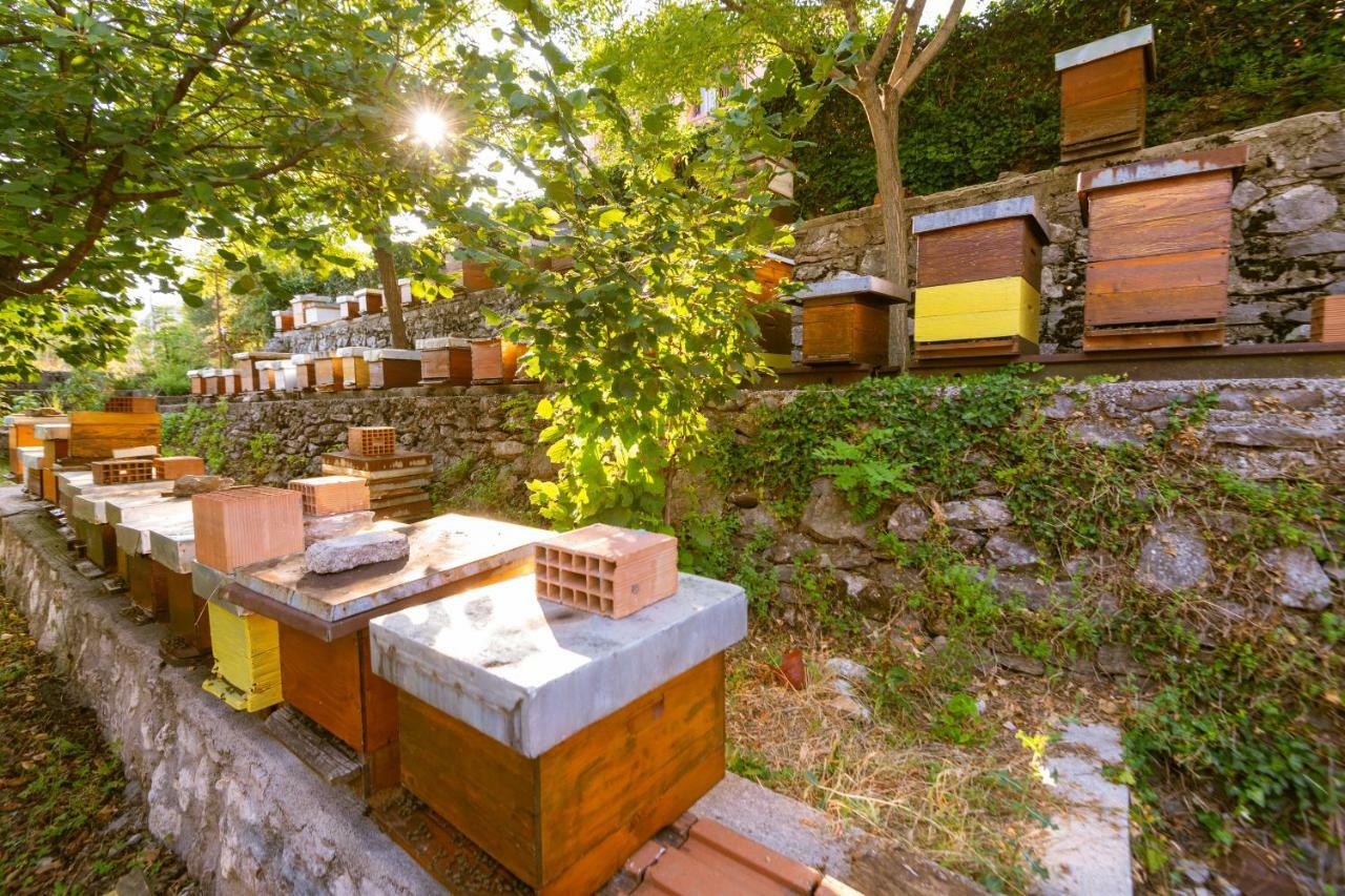 Honey Farm House Virpazar Εξωτερικό φωτογραφία
