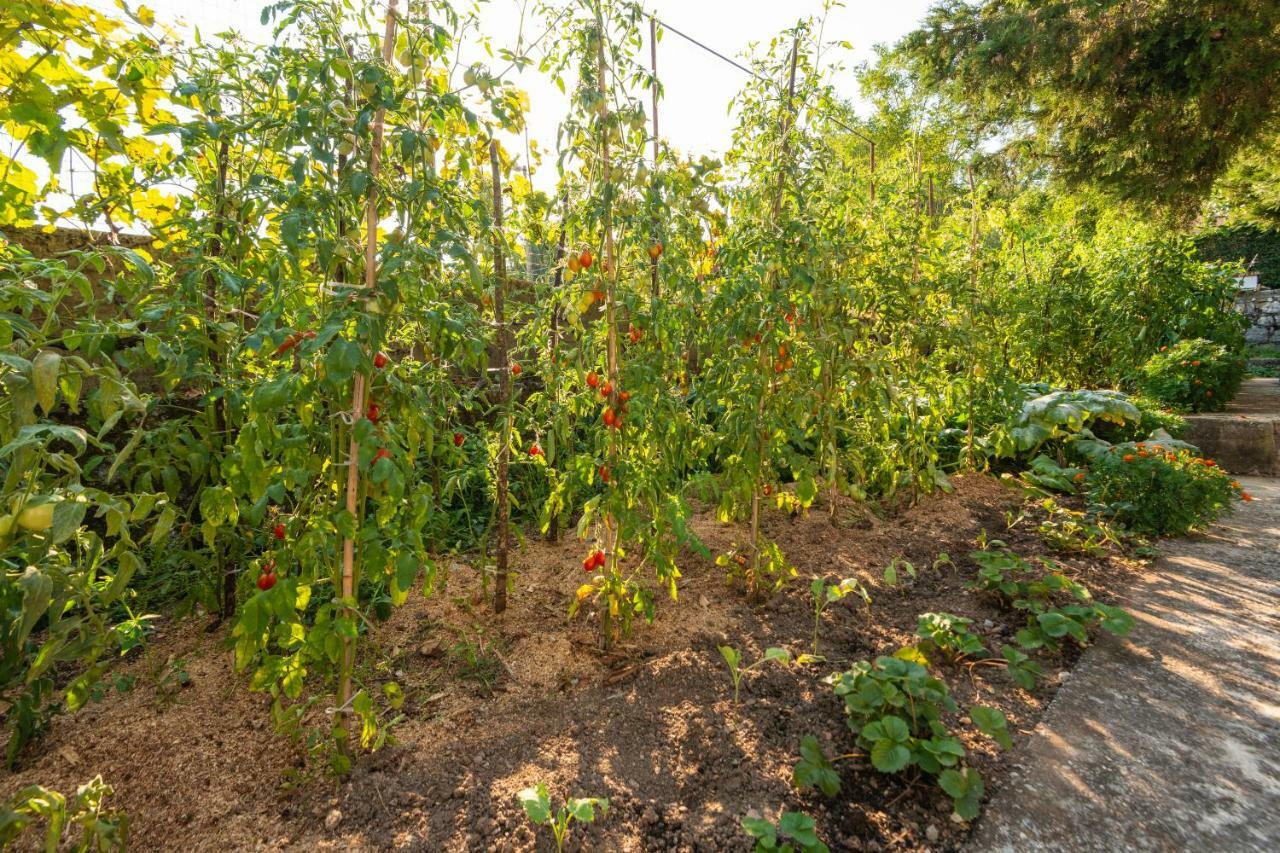 Honey Farm House Virpazar Εξωτερικό φωτογραφία